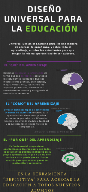 INFOGRAFÍA_UDL